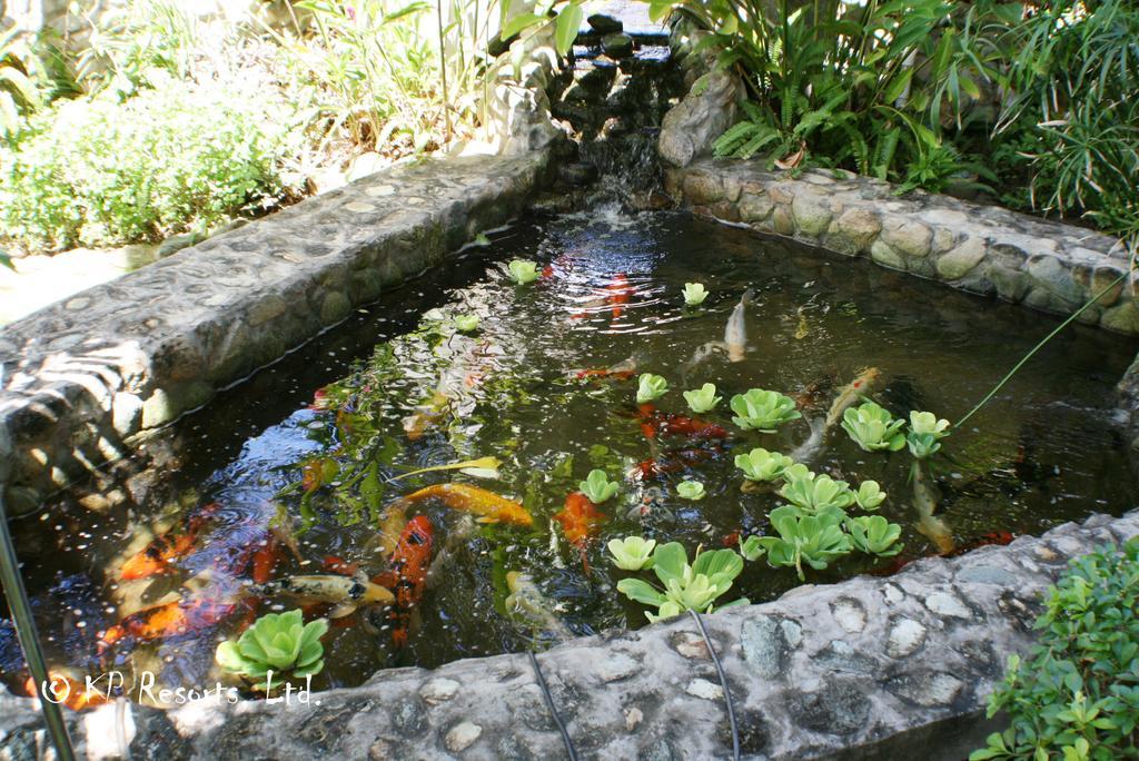 Enchanted Waters Tobago Buccoo Kültér fotó